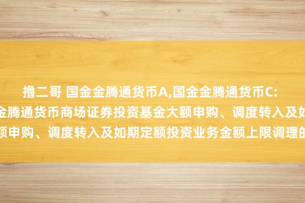 撸二哥 国金金腾通货币A，国金金腾通货币C: 对于对单个基金账户国金金腾通货币商场证券投资基金大额申购、调度转入及如期定额投资业务金额上限调理的公告