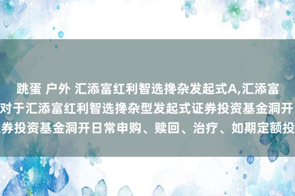 跳蛋 户外 汇添富红利智选搀杂发起式A，汇添富红利智选搀杂发起式C: 对于汇添富红利智选搀杂型发起式证券投资基金洞开日常申购、赎回、治疗、如期定额投资业务公告