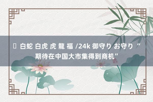 ✨白蛇 白虎 虎 龍 福 /24k 御守り お守り “期待在中国大市集得到商机”