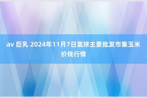 av 巨乳 2024年11月7日寰球主要批发市集玉米价钱行情