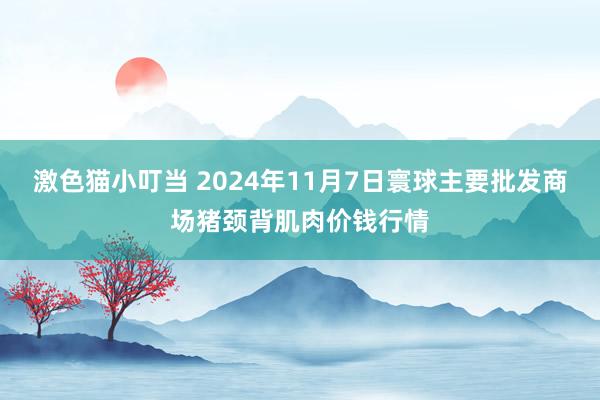 激色猫小叮当 2024年11月7日寰球主要批发商场猪颈背肌肉价钱行情