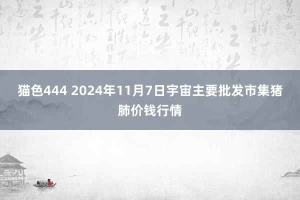 猫色444 2024年11月7日宇宙主要批发市集猪肺价钱行情