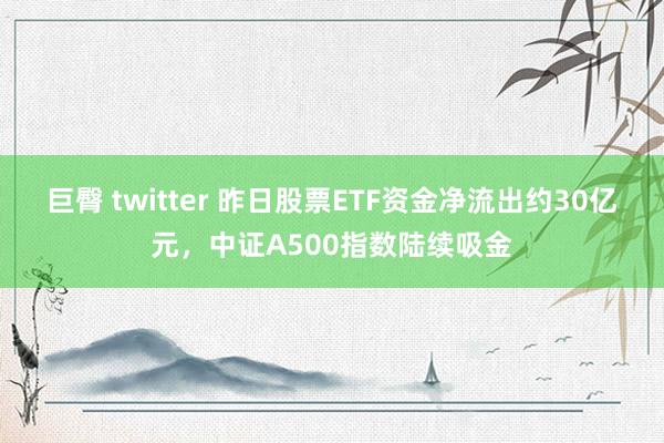 巨臀 twitter 昨日股票ETF资金净流出约30亿元，中证A500指数陆续吸金