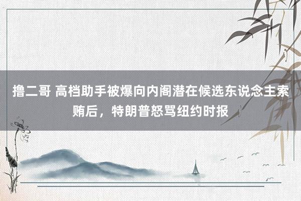 撸二哥 高档助手被爆向内阁潜在候选东说念主索贿后，特朗普怒骂纽约时报