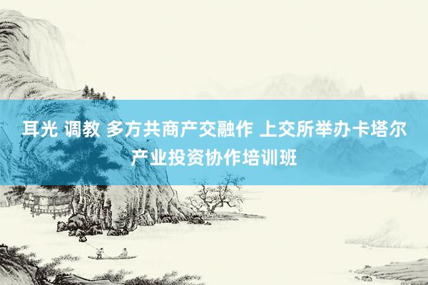 耳光 调教 多方共商产交融作 上交所举办卡塔尔产业投资协作培训班