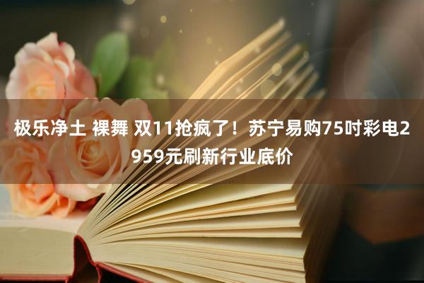 极乐净土 裸舞 双11抢疯了！苏宁易购75吋彩电2959元刷新行业底价