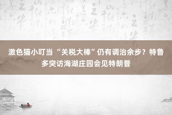 激色猫小叮当 “关税大棒”仍有调治余步？特鲁多突访海湖庄园会见特朗普