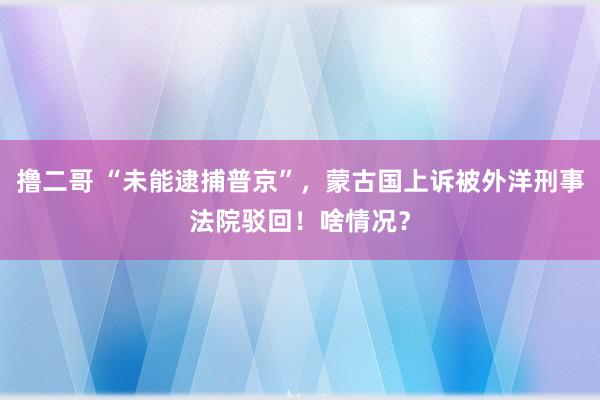 撸二哥 “未能逮捕普京”，蒙古国上诉被外洋刑事法院驳回！啥情况？