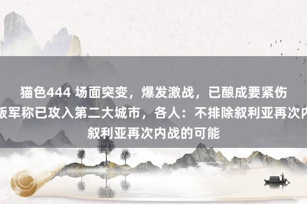 猫色444 场面突变，爆发激战，已酿成要紧伤一火！反叛军称已攻入第二大城市，各人：不排除叙利亚再次内战的可能