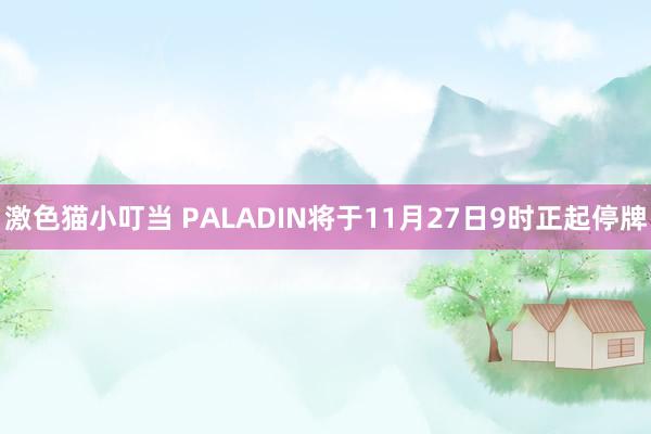 激色猫小叮当 PALADIN将于11月27日9时正起停牌