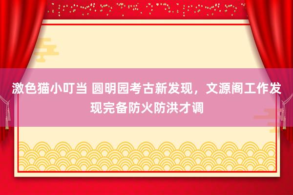 激色猫小叮当 圆明园考古新发现，文源阁工作发现完备防火防洪才调