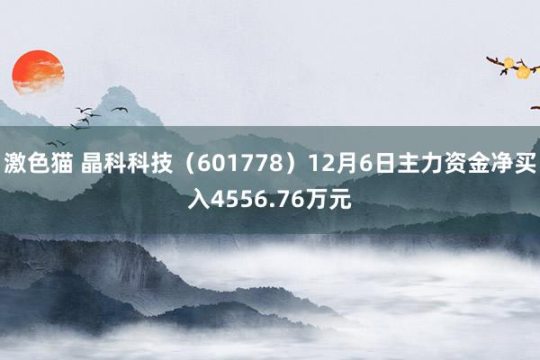 激色猫 晶科科技（601778）12月6日主力资金净买入4556.76万元