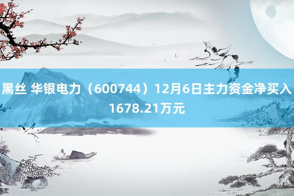 黑丝 华银电力（600744）12月6日主力资金净买入1678.21万元