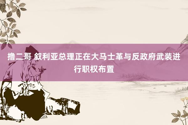 撸二哥 叙利亚总理正在大马士革与反政府武装进行职权布置