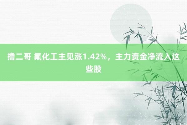 撸二哥 氟化工主见涨1.42%，主力资金净流入这些股