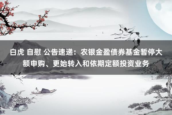 白虎 自慰 公告速递：农银金盈债券基金暂停大额申购、更始转入和依期定额投资业务