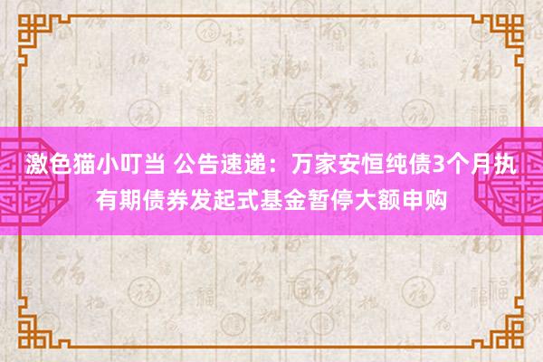 激色猫小叮当 公告速递：万家安恒纯债3个月执有期债券发起式基金暂停大额申购