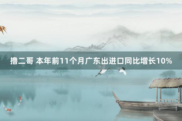 撸二哥 本年前11个月广东出进口同比增长10%