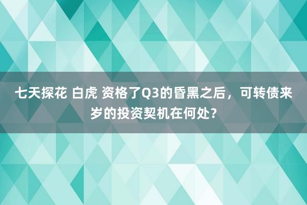 七天探花 白虎 资格了Q3的昏黑之后，可转债来岁的投资契机在何处？