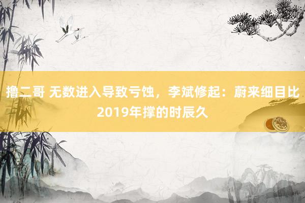 撸二哥 无数进入导致亏蚀，李斌修起：蔚来细目比2019年撑的时辰久