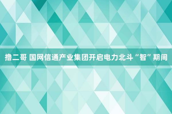 撸二哥 国网信通产业集团开启电力北斗“智”期间