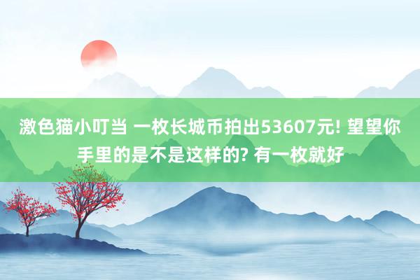 激色猫小叮当 一枚长城币拍出53607元! 望望你手里的是不是这样的? 有一枚就好