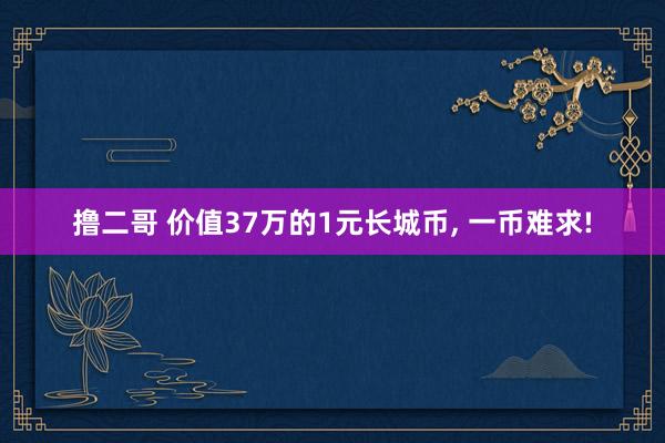 撸二哥 价值37万的1元长城币， 一币难求!