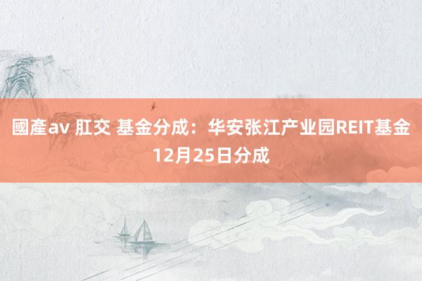 國產av 肛交 基金分成：华安张江产业园REIT基金12月25日分成