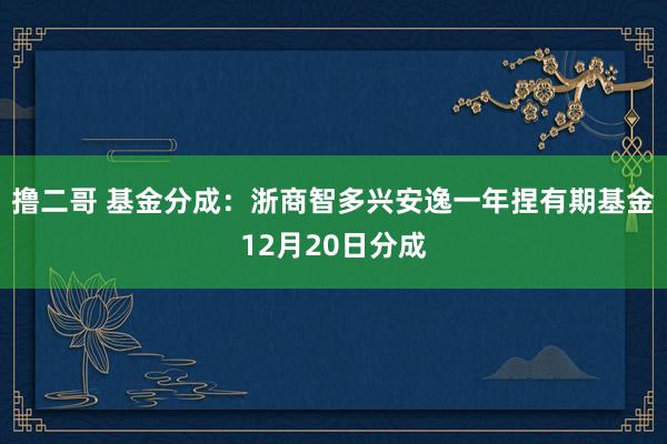 撸二哥 基金分成：浙商智多兴安逸一年捏有期基金12月20日分成