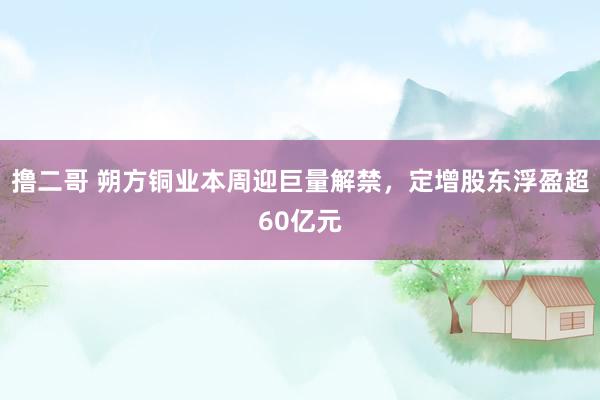 撸二哥 朔方铜业本周迎巨量解禁，定增股东浮盈超60亿元