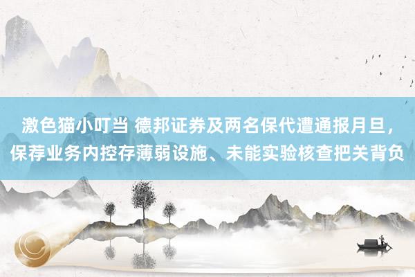 激色猫小叮当 德邦证券及两名保代遭通报月旦，保荐业务内控存薄弱设施、未能实验核查把关背负