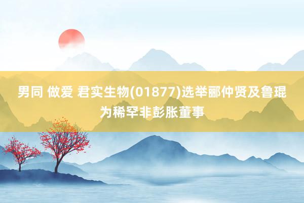 男同 做爱 君实生物(01877)选举郦仲贤及鲁琨为稀罕非彭胀董事