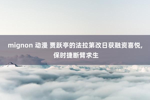 mignon 动漫 贾跃亭的法拉第改日获融资喜悦， 保时捷断臂求生