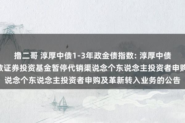 撸二哥 淳厚中债1-3年政金债指数: 淳厚中债1-3年计策性金融债指数证券投资基金暂停代销渠说念个东说念主投资者申购及革新转入业务的公告