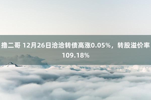 撸二哥 12月26日洽洽转债高涨0.05%，转股溢价率109.18%