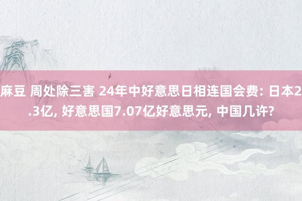 麻豆 周处除三害 24年中好意思日相连国会费: 日本2.3亿， 好意思国7.07亿好意思元， 中国几许?