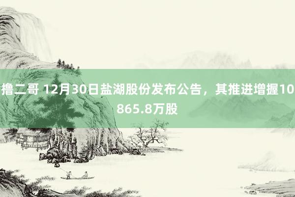 撸二哥 12月30日盐湖股份发布公告，其推进增握10865.8万股