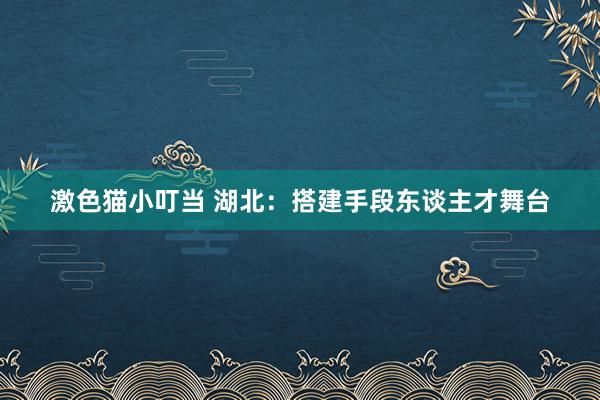 激色猫小叮当 湖北：搭建手段东谈主才舞台