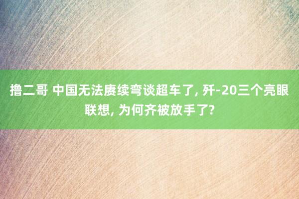 撸二哥 中国无法赓续弯谈超车了， 歼-20三个亮眼联想， 为何齐被放手了?