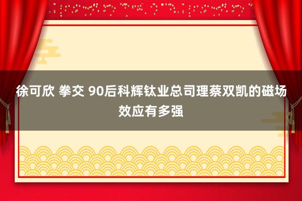 徐可欣 拳交 90后科辉钛业总司理蔡双凯的磁场效应有多强