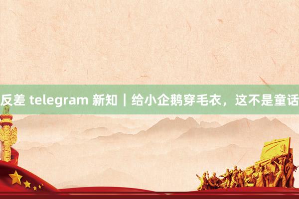 反差 telegram 新知｜给小企鹅穿毛衣，这不是童话