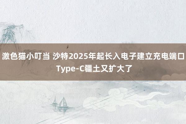 激色猫小叮当 沙特2025年起长入电子建立充电端口 Type-C疆土又扩大了