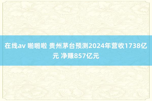 在线av 啪啪啦 贵州茅台预测2024年营收1738亿元 净赚857亿元