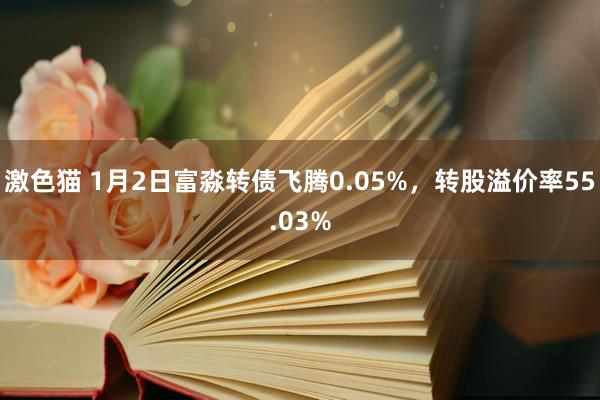 激色猫 1月2日富淼转债飞腾0.05%，转股溢价率55.03%