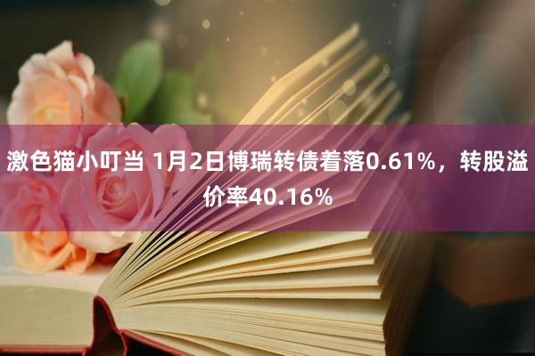 激色猫小叮当 1月2日博瑞转债着落0.61%，转股溢价率40.16%