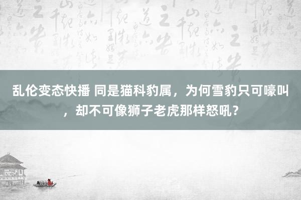 乱伦变态快播 同是猫科豹属，为何雪豹只可嚎叫，却不可像狮子老虎那样怒吼？