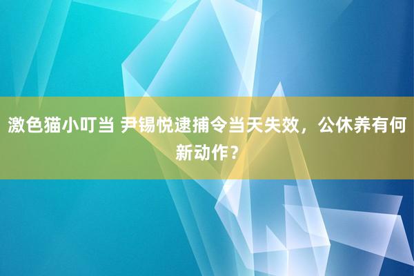 激色猫小叮当 尹锡悦逮捕令当天失效，公休养有何新动作？