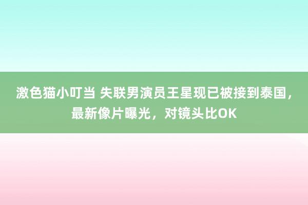 激色猫小叮当 失联男演员王星现已被接到泰国，最新像片曝光，对镜头比OK