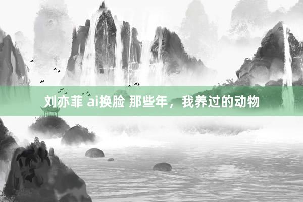 刘亦菲 ai换脸 那些年，我养过的动物