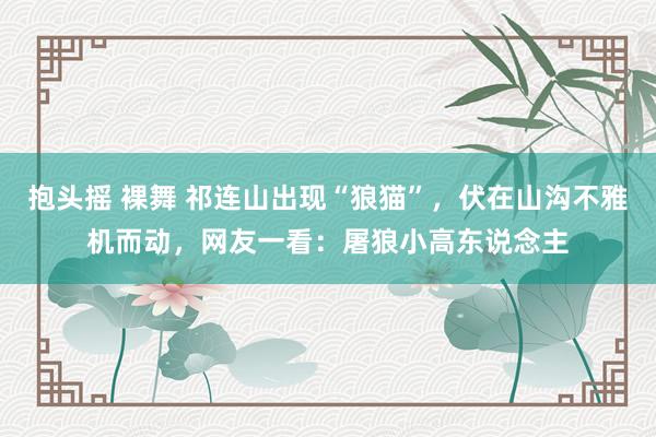 抱头摇 裸舞 祁连山出现“狼猫”，伏在山沟不雅机而动，网友一看：屠狼小高东说念主